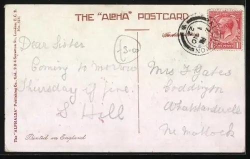 Künstler-AK Study of Turkey Cock and Hen