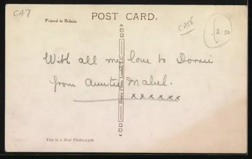 AK Drei getigerte Katzenjunge