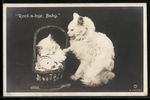 AK Katzenmutter wiegt Katzenkind in einem Korb