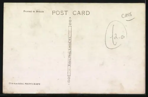 AK Katzenmutter wiegt Katzenkind in einem Korb