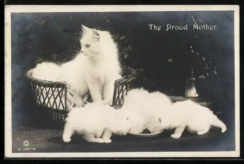 AK Stolze Katzenmutter mit Jungen