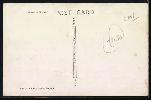 AK Stolze Katzenmutter mit Jungen