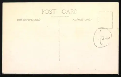 AK Vier Katzenbabys in einer Tasche