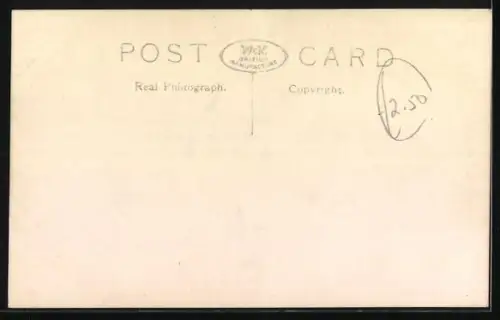 AK Thoughtful Moments, Katzenbabys