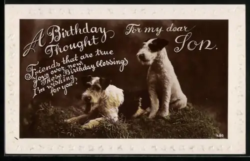 AK Zwei Foxterrier auf einer Wiese, Geburtstagsgruss