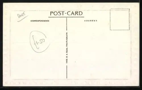 AK Zwei Foxterrier auf einer Wiese, Geburtstagsgruss