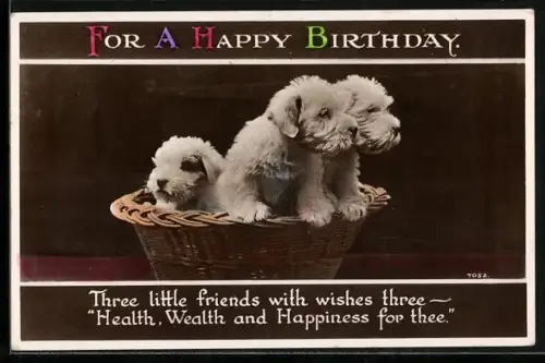 AK Drei junge Terrier in einem Körbchen, Geburtstagsgruss