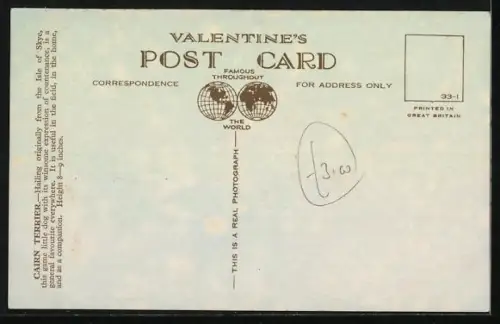 AK Cairn Terrier, Portrait