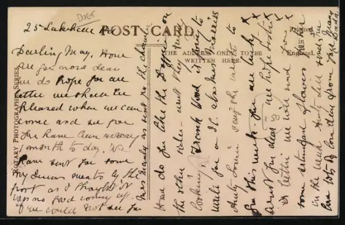 AK Five little Scamps, Jagdhundwelpen