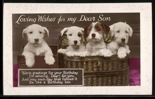 AK Vier Terrierwelpen, Geburtstagsgruss