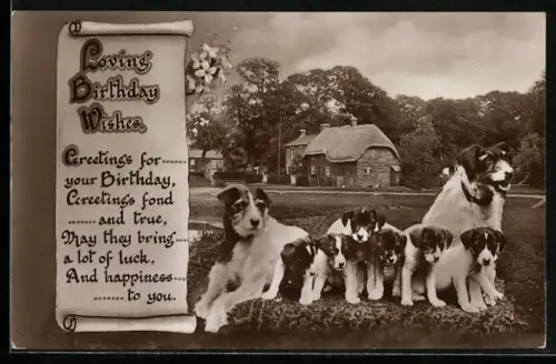 AK Terrierpaar mit grossem Wurf, Geburtstagsgruss