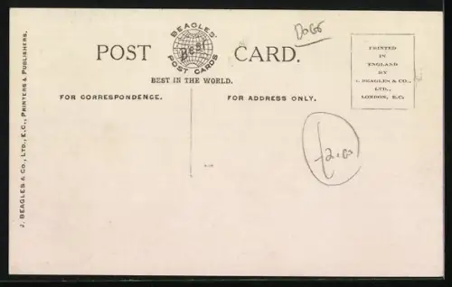 AK Caesar, The Late King Edward`s Favourite Terrier