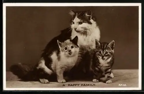 AK A Happy Family, Katzenmutter mit Jungen