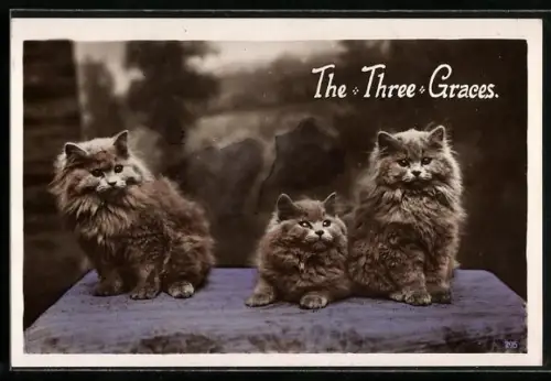 AK The Three Graces, Portrait