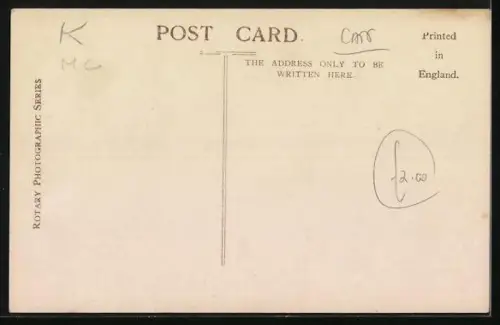 AK Zwei kleine Katzen schauen nach oben