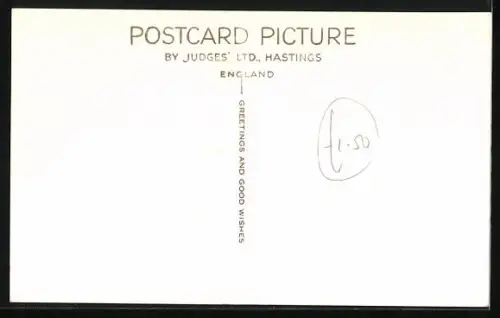 AK Neugierige Katze blickt in ein Gefäss