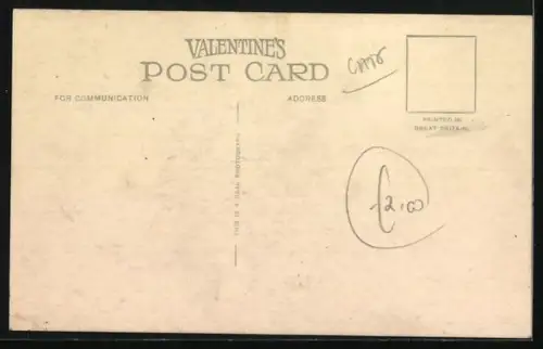 AK Zwei Katzenbabys mit weissem Fell