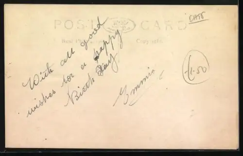 AK Three Little Vagabonds, Katzenbabys