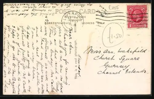 AK Waiting to hear from you, Katzenbabys