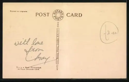 AK Zwei junge Katzen blicken aufwärts