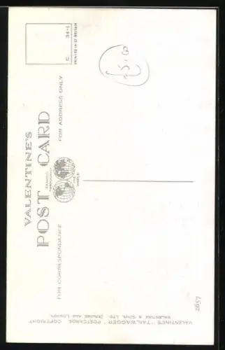 AK Scotchterrier Scottie, Portrait