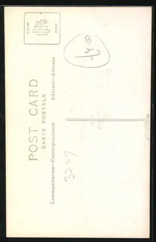 Foto-AK Hund, auf einem Tisch sitzend