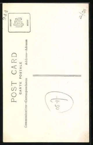 AK Schwarzer Hund auf einem Stuhl im Garten