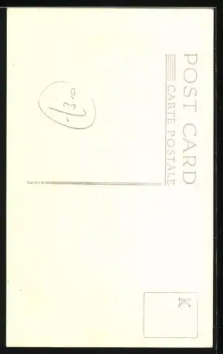 Foto-AK Zwei Hunde auf einem Korbstuhl im Sonnenschein