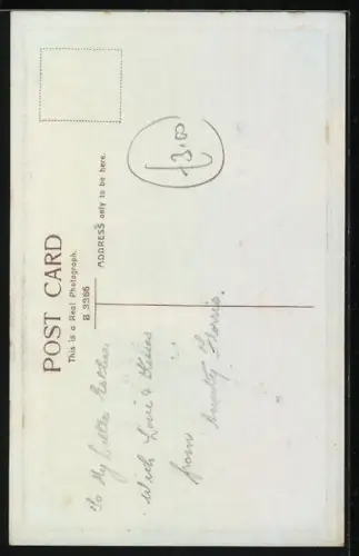 AK Pekinese und Gefährte auf einem Tischchen, Geburtstagsgruss