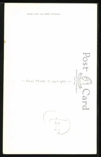 AK Spaniel mit selbstbewusstem Blick, Portrait