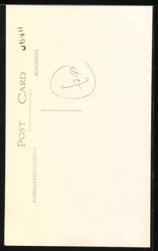 Foto-AK Auf dem Bauch liegender weisser Hund mit schwarzem Stirnfleck