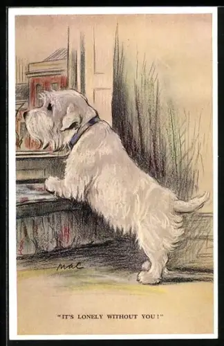 AK Weisser Terrier am Fenster hält Ausschau nach seinem Herrchen