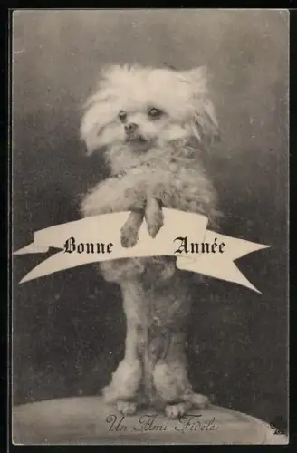 AK Terrier macht Männchen, Neujahr