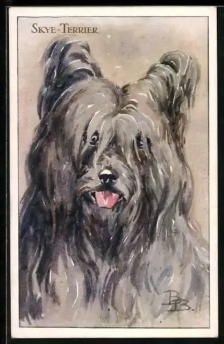 AK Skye-Terrier mit roter Zunge, Portrait