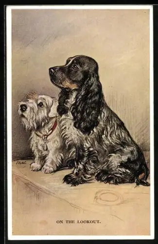 AK On the Lookout, Spaniel und Terrier