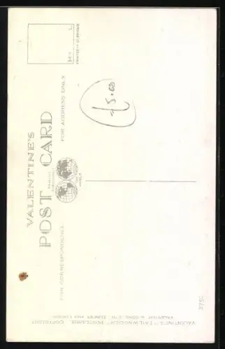 AK On the Lookout, Spaniel und Terrier