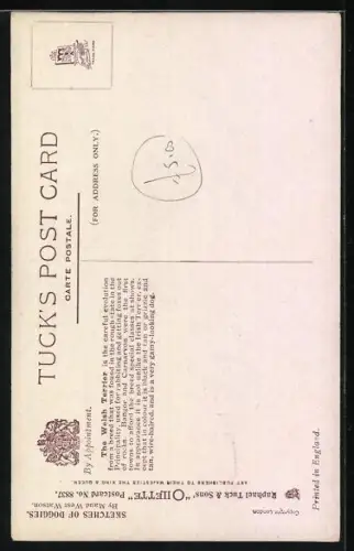 Künstler-AK Welsh Terrier, Hund mit Halsleine