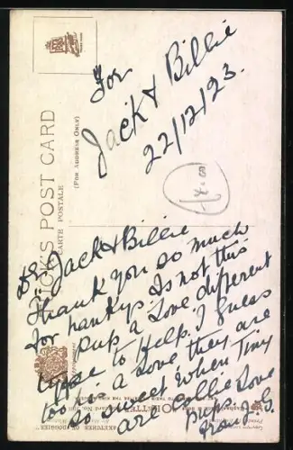 AK Pekinese Puppy, Portrait