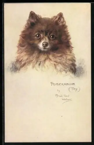 Künstler-AK niedlicher Pomeranian-Spitz mit niedlichem Blick