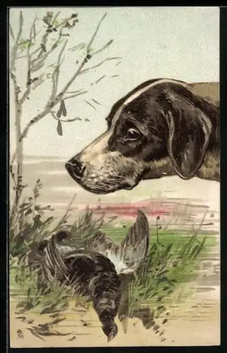 AK Jagdhund mit geschossenem Rebhuhn