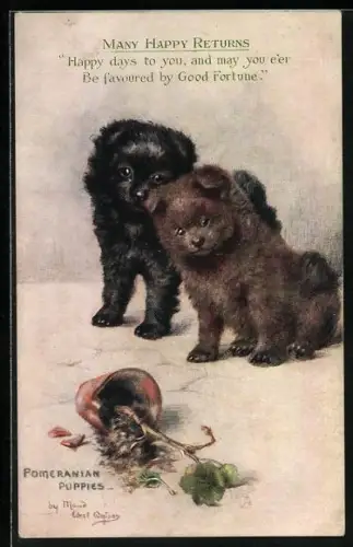 Künstler-AK Spitz, schwarzer und brauner Welpe betrachten kaputten Blumentopf, Pomeranian Puppies