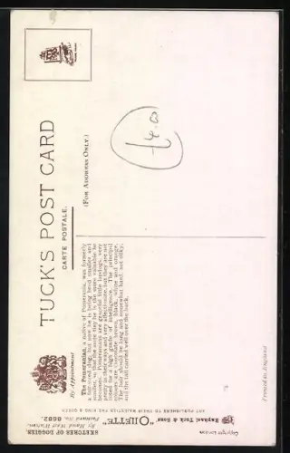 Künstler-AK Spitz, schwarzer und brauner Welpe betrachten kaputten Blumentopf, Pomeranian Puppies