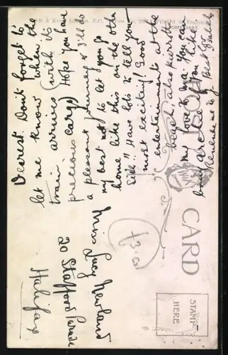 AK Aberdeen, Kätzchen mit verbundenem Kopf nach einer Nacht in Aberdeen