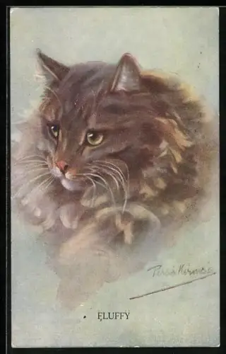 Künstler-AK Fluffy, Getigerte Katze