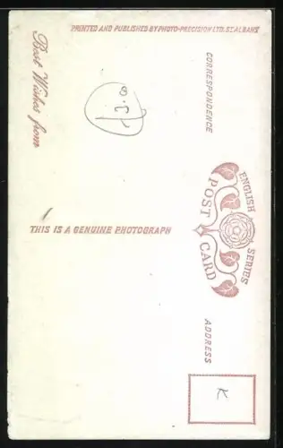 AK Old English Sheepdog, Portrait