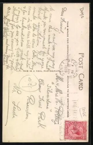 AK Hund mit ungeduldigem Blick, Portrait