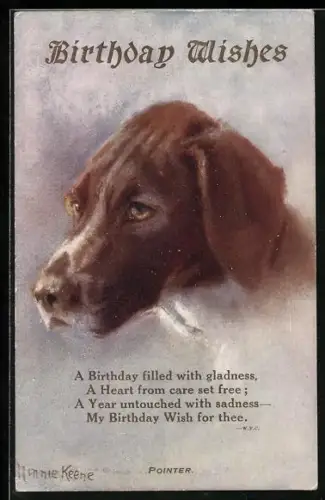 AK Pointer, Portrait, Geburtstagsgruss