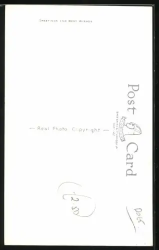 AK Spaniel mit hellem Fell und dunklen Ohren, Portrait