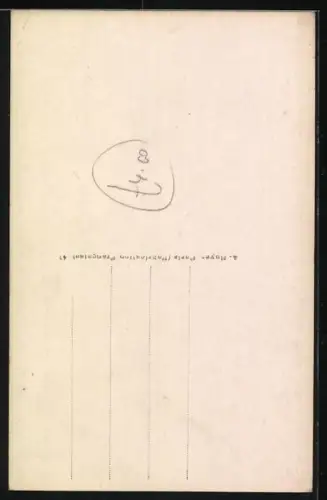 AK Pekinese mit weisser Blesse, Portrait