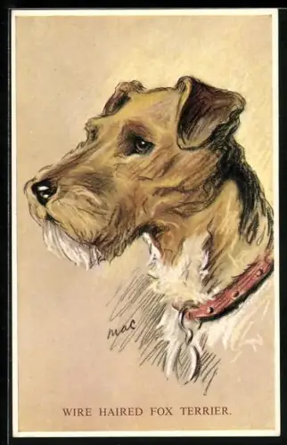 Künstler-AK wunderschöner Fox-Terrier mit rotem Halsband